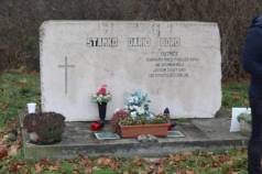 Mini IMG 6149